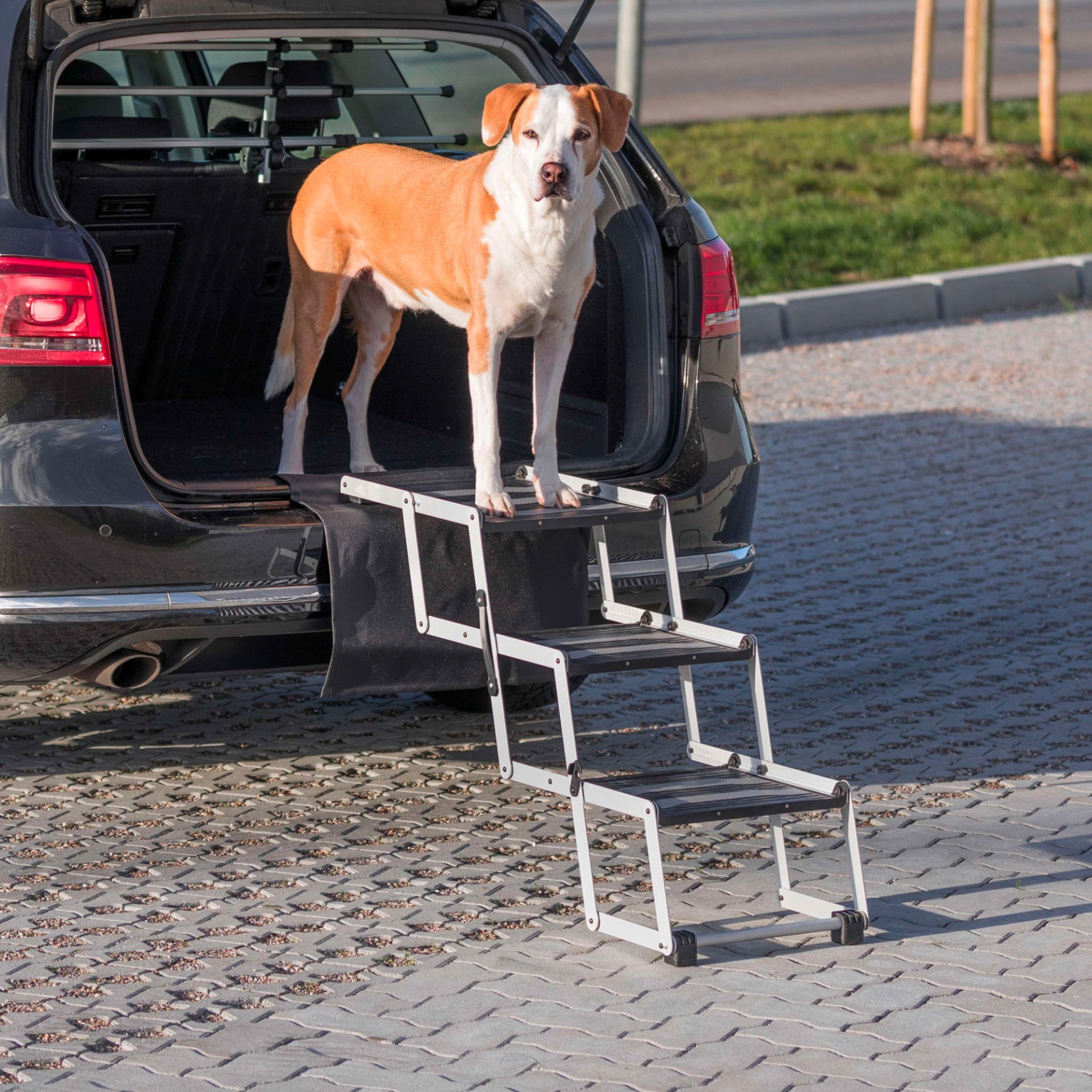 K p Petwalk Hopf llbar Hundtrappa Till Din Hund Tinybuddy k-p-petwalk-hopf-llbar-hundtrappa-till-din-hund-tinybuddy