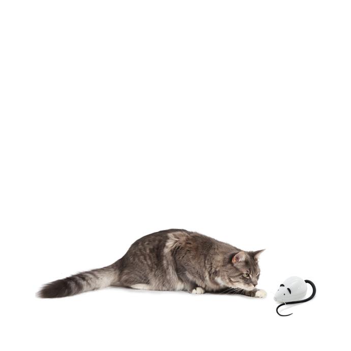 FroliCat Rolorat Automatic Cat Teaser White 15x7cm - Bild 2