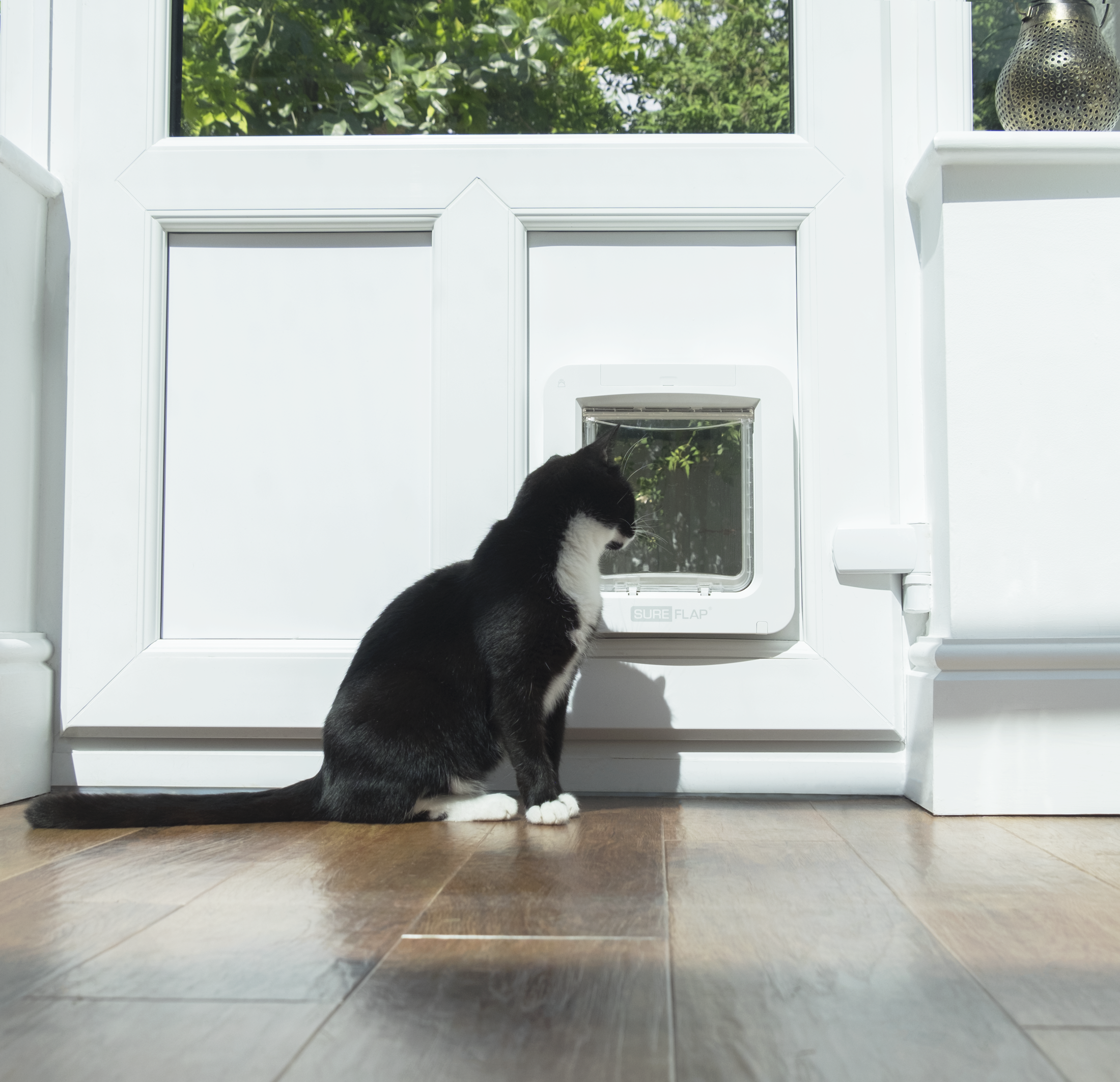 Köp SureFlap Microchip Pet Door Connect till din hund eller katt från
