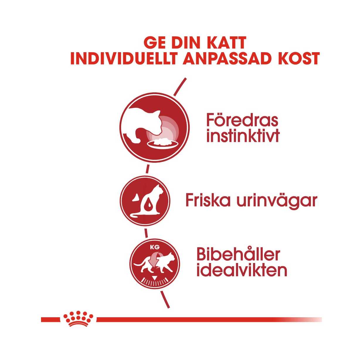 Royal Canin Instinctive i sås - 12 x 85 g - Bild 5