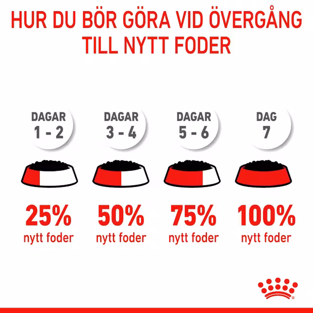 Royal Canin Mother & Babycat Starter Mousse (195 g) - Bild 3