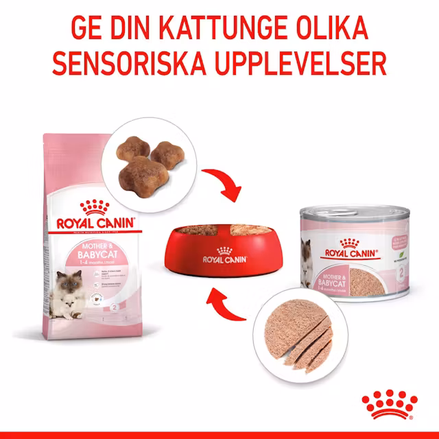 Royal Canin Mother & Babycat Starter Mousse (195 g) - Bild 5