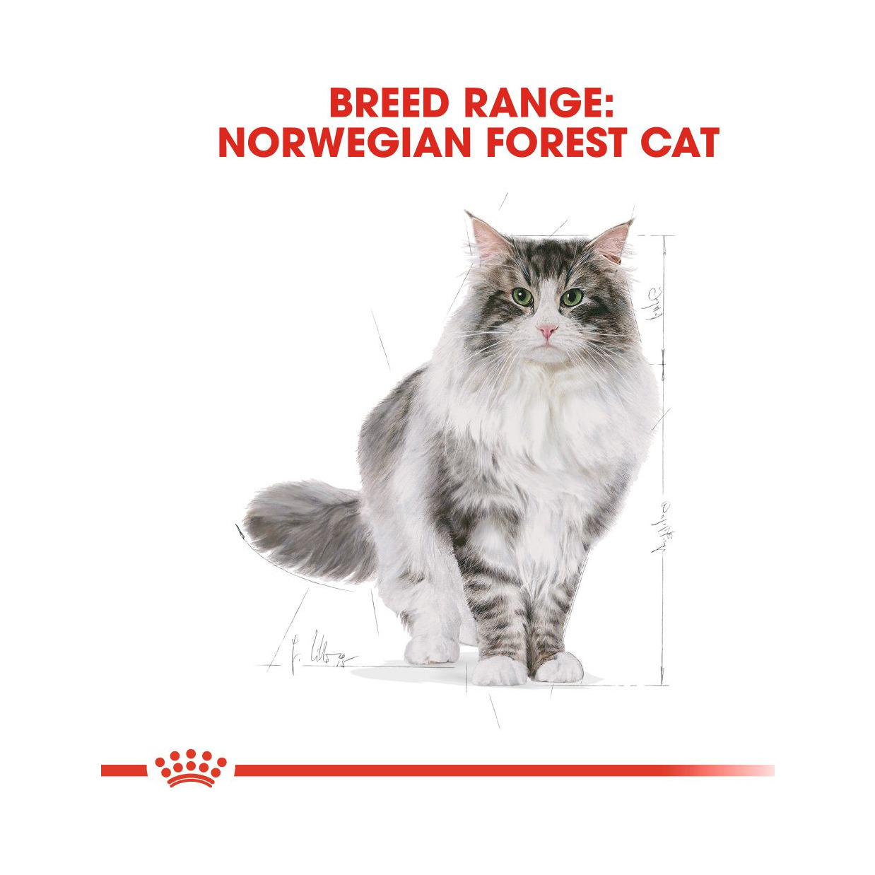 Royal Canin Norwegian (400 g) - Bild 5