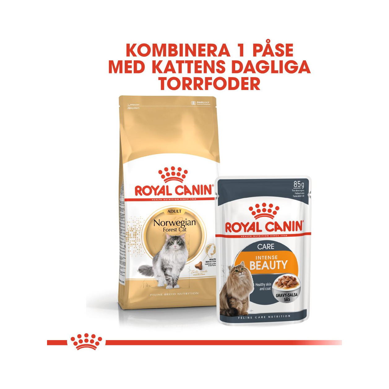 Royal Canin Norwegian (400 g) - Bild 8