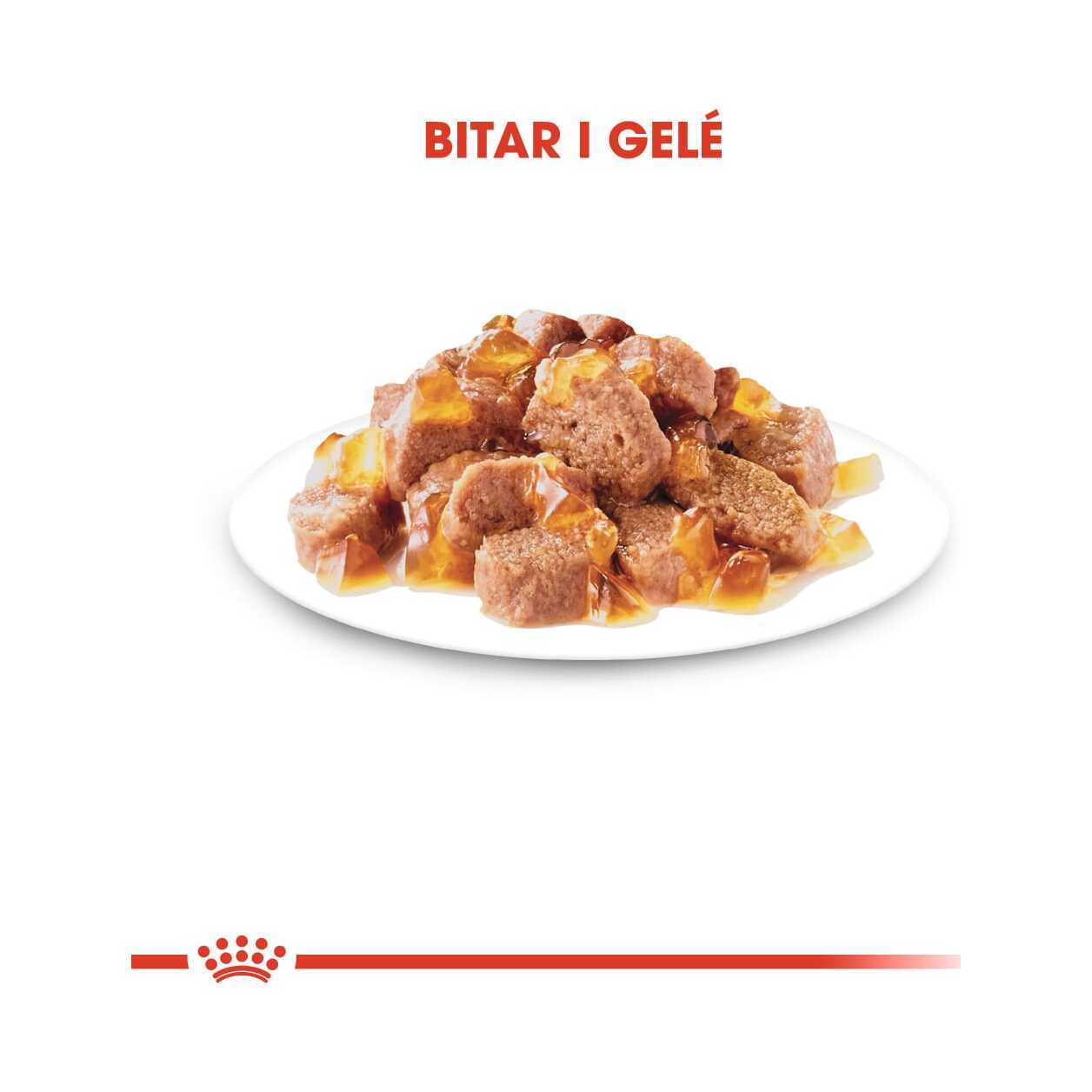 Royal Canin Sterilised Jelly Wet (12x85g) - Bild 4