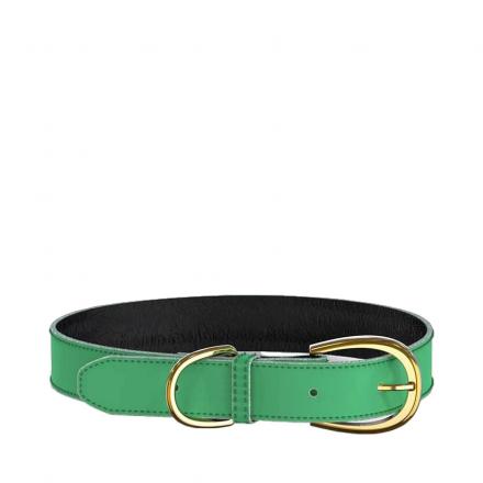 Swaggin Tails Halsband - Grön